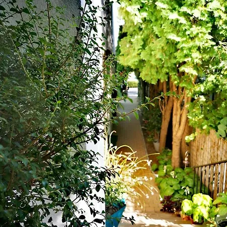 Piroska Guest house 3*