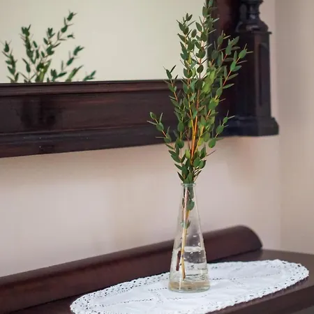 Guest house Piroska Heviz